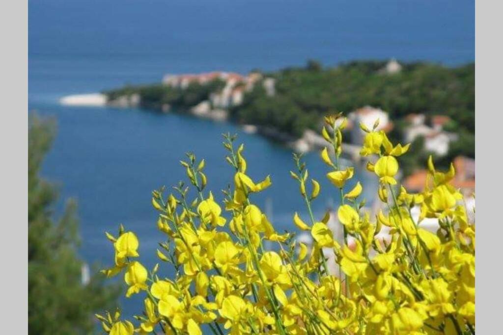 Seaview Sparkle Iskra - Povlja, Brac